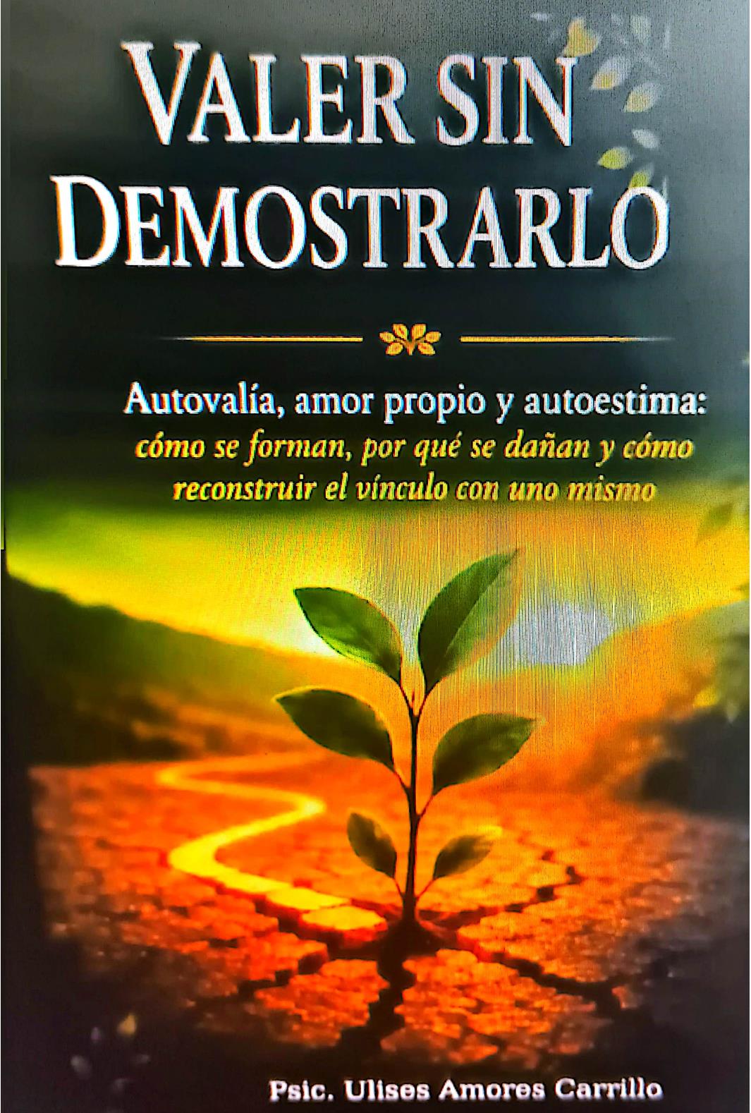 Portada del libro Valer sin demostrarlo